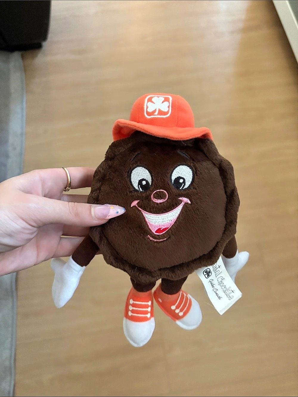 Girl, guide, cookie, plush animal
